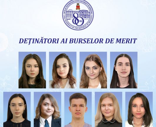 burse de merit